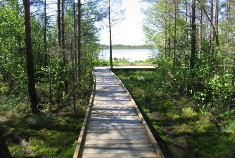 kamanos-strict-nature-reserve-atostogos-kaime
