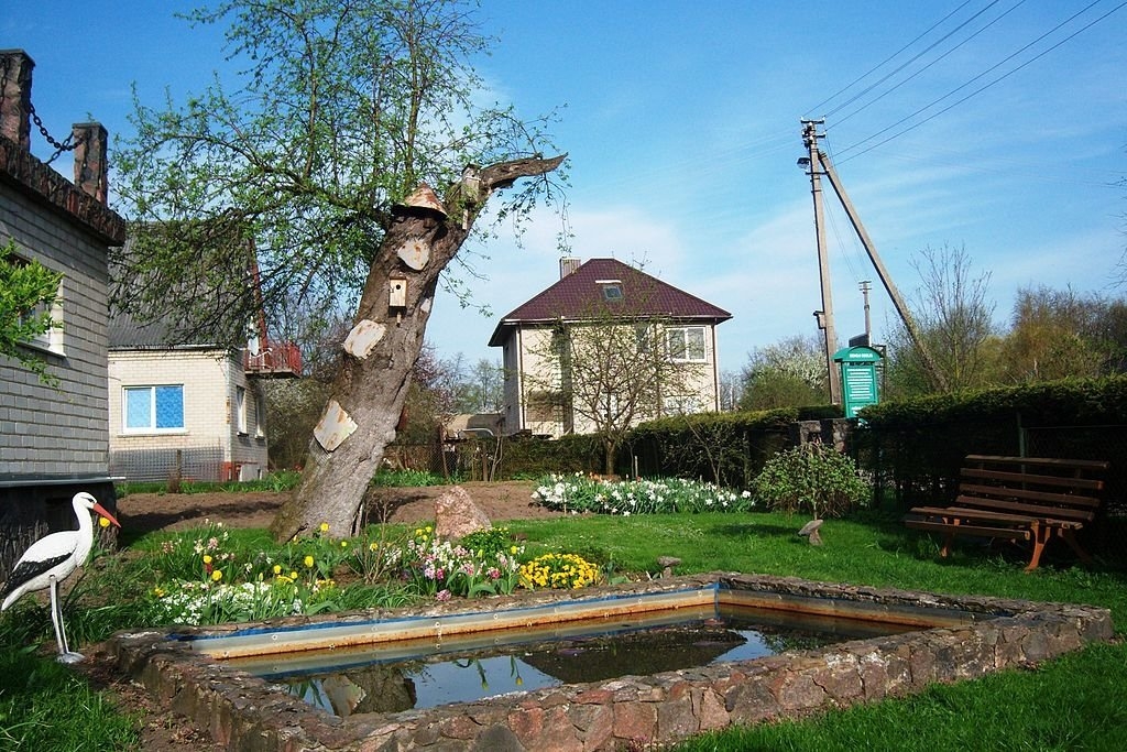 The oldest apple tree in Lithuania Atostogos kaime